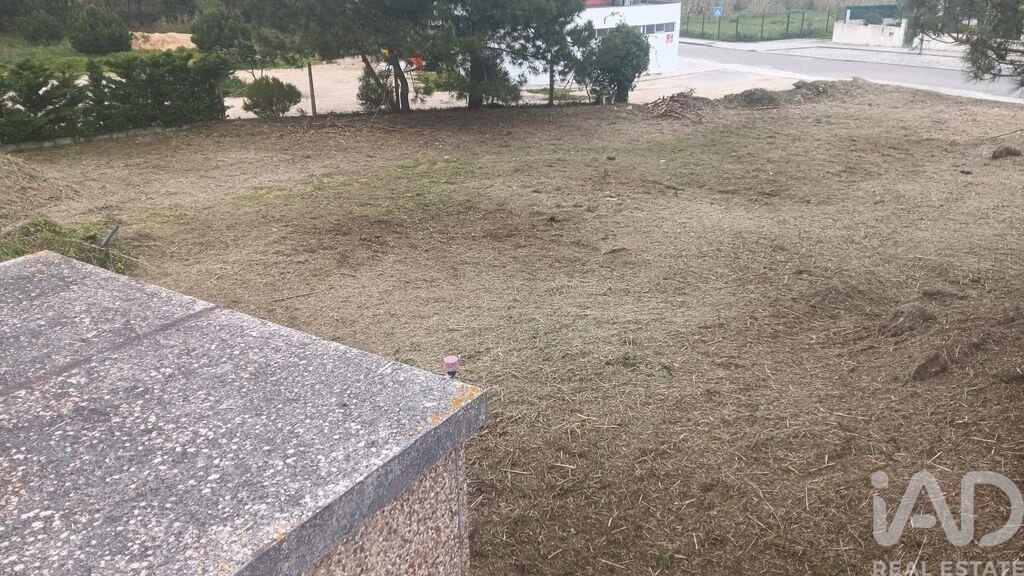 Land in Tornada - Image 2