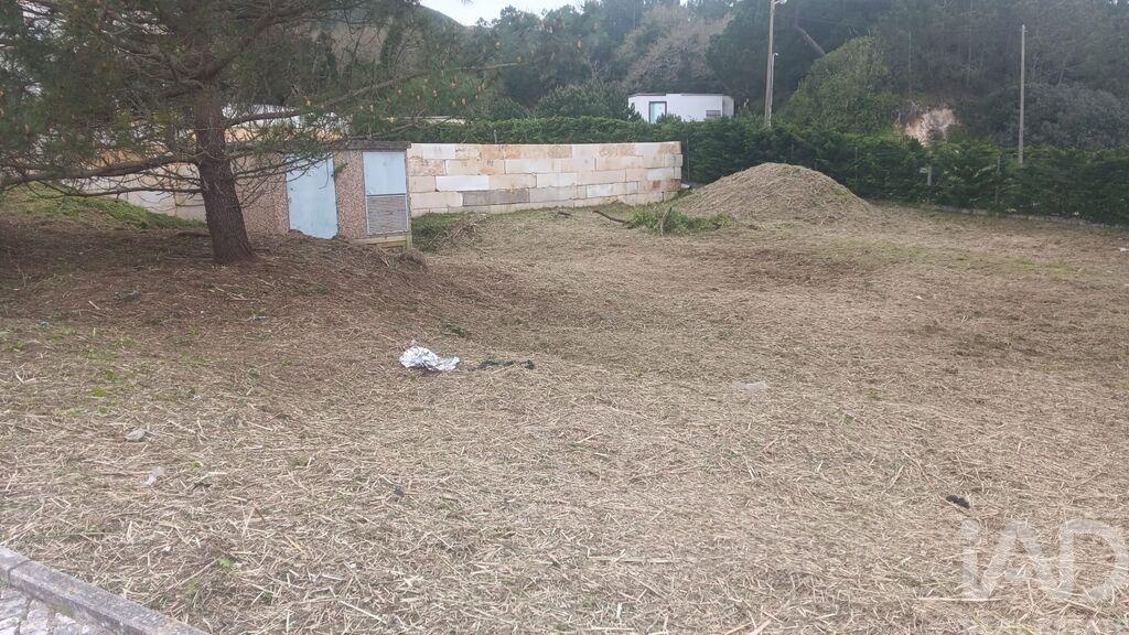 Land in Tornada - Image 4