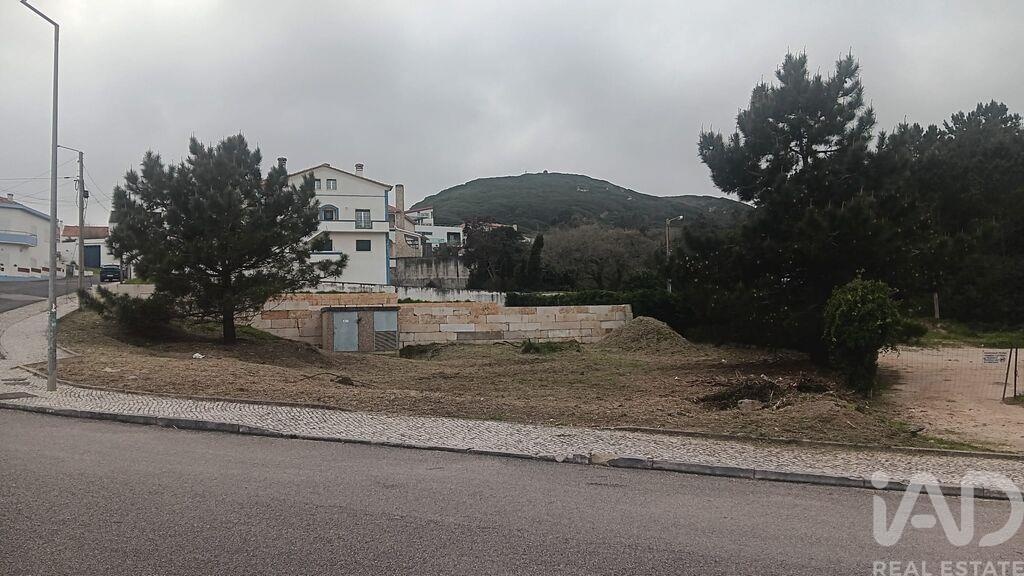 Land in Tornada - Image 5