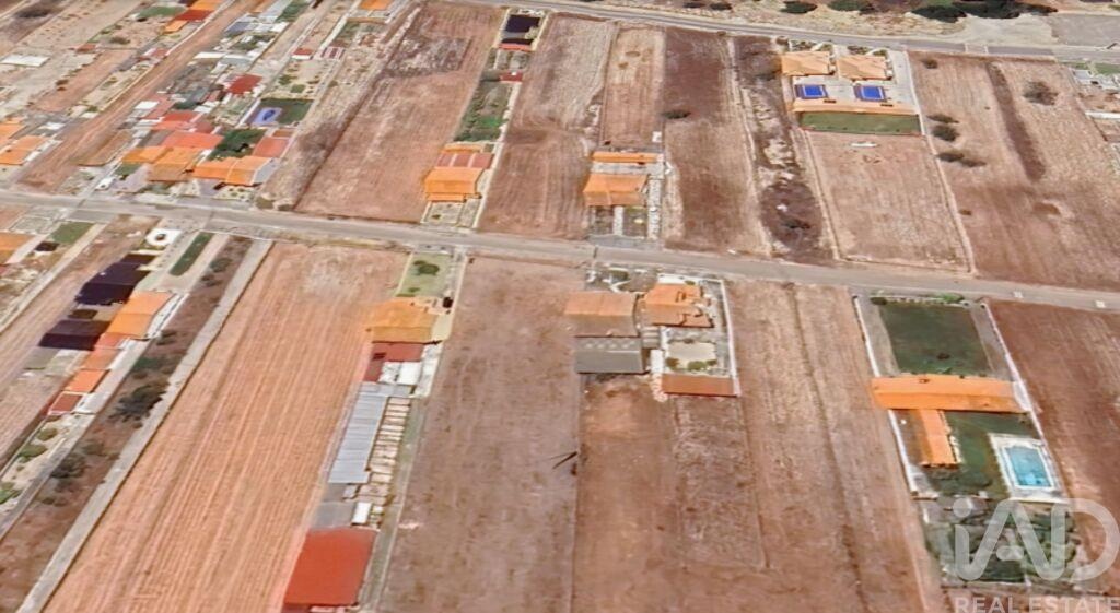 Land in Gafanha da Boa Hora - view 1