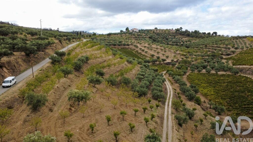 Farm, Ranch or Equestrian in Cedovim - Image 3