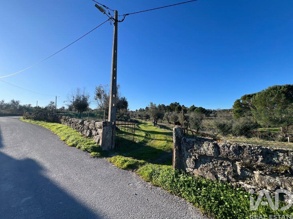 House in Arcozelo - Image 3