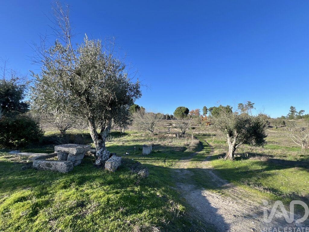 House in Arcozelo - Image 5