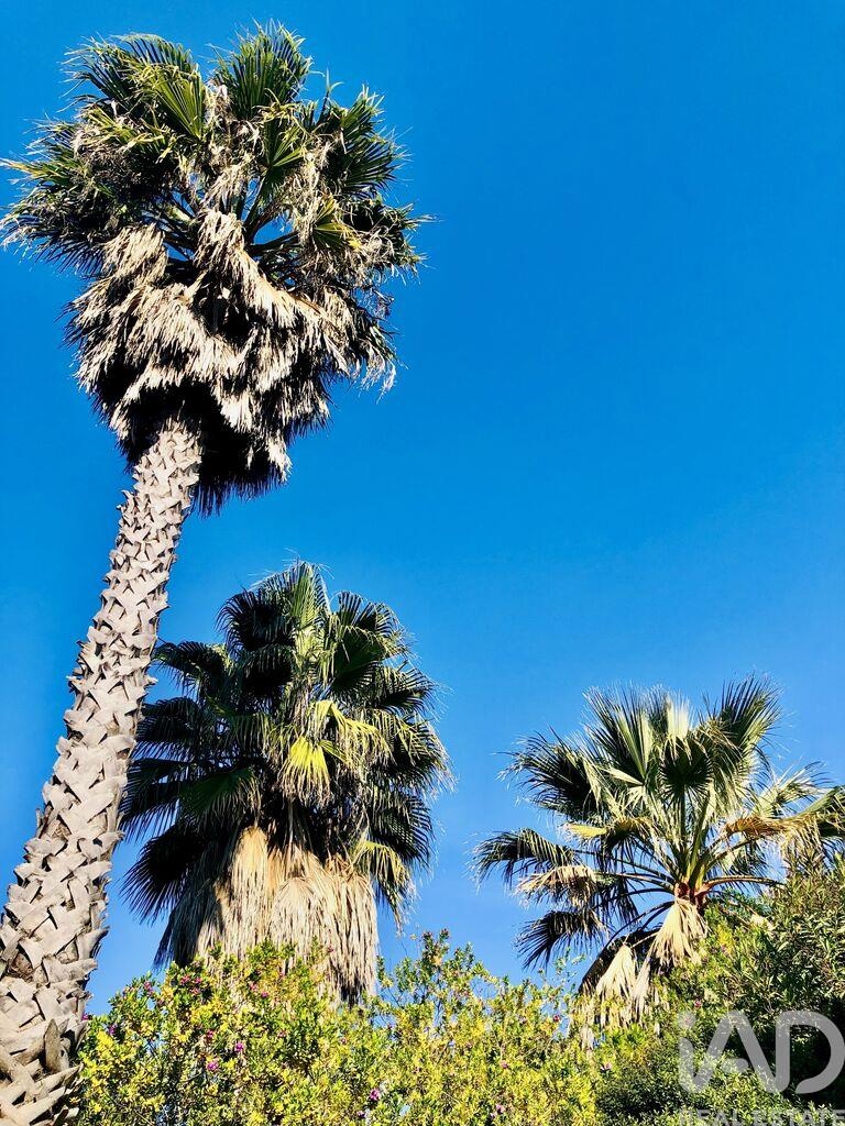 House in Estoi - Image 2