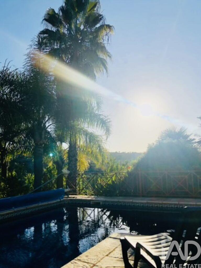 House in Estoi - Image 3