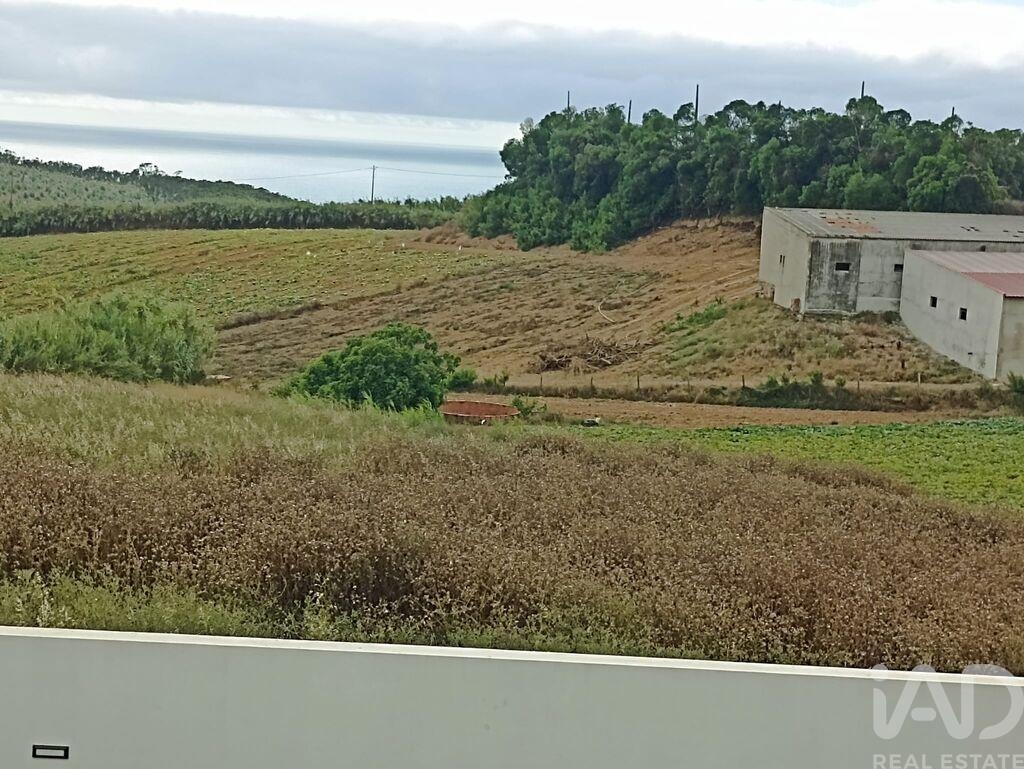 Land in Lourinha - Image 5