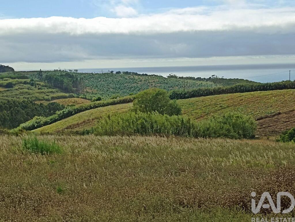 Land in Lourinha - Image 4