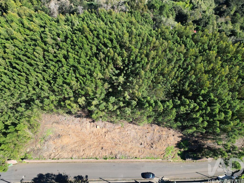 Land in Canico - view 1