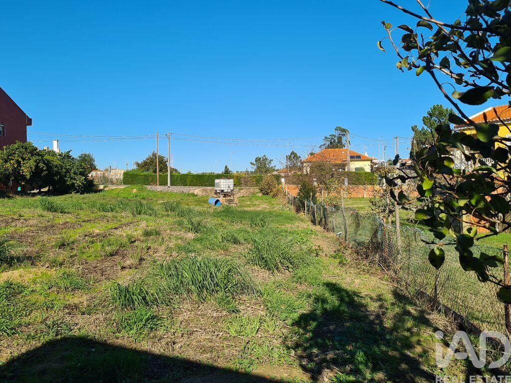 Land in Campelos - Image 5