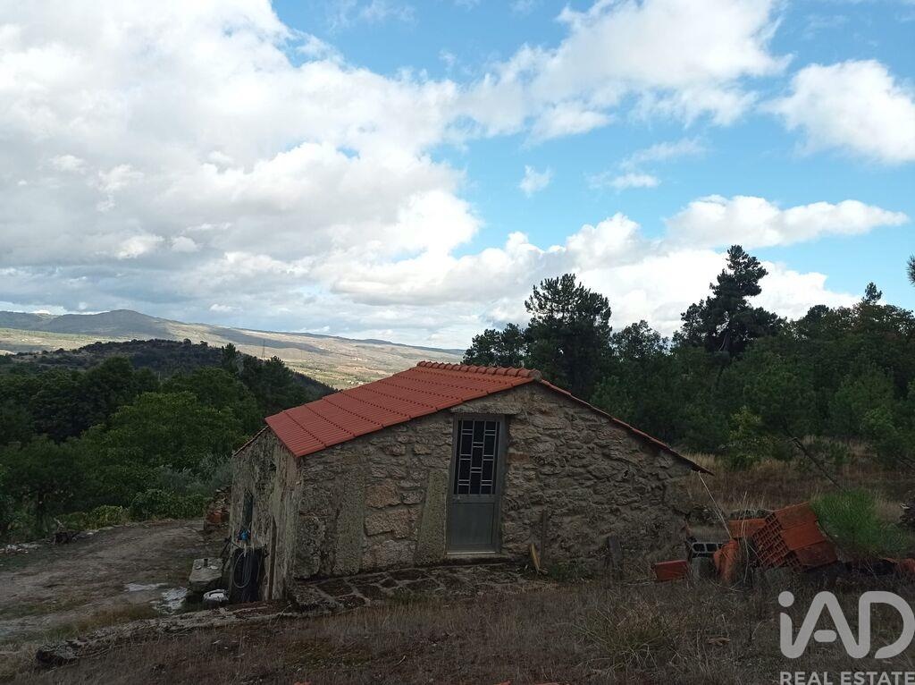 Land in Sendim - view 1