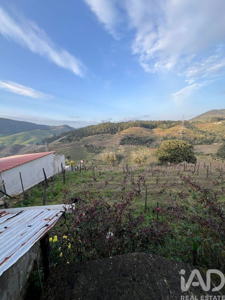 House in Vacalar - Image 5