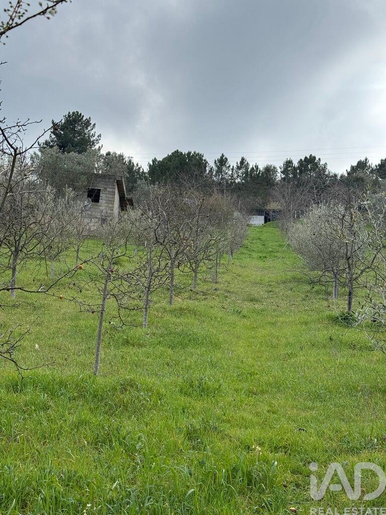 Land in Tabuaco - Image 3