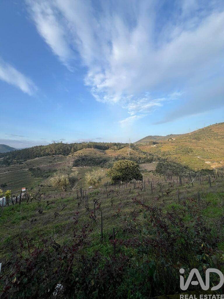 House in Vacalar - Image 3