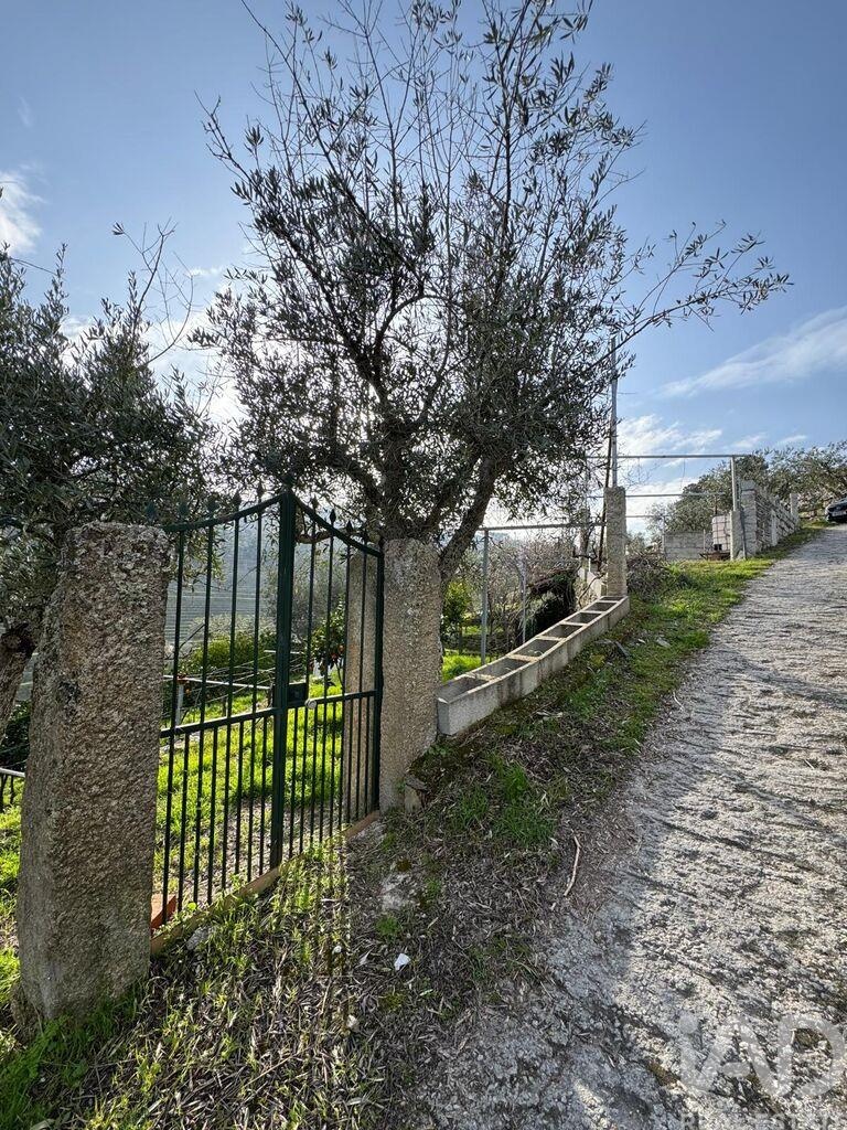 Land in Tabuaco - view 1