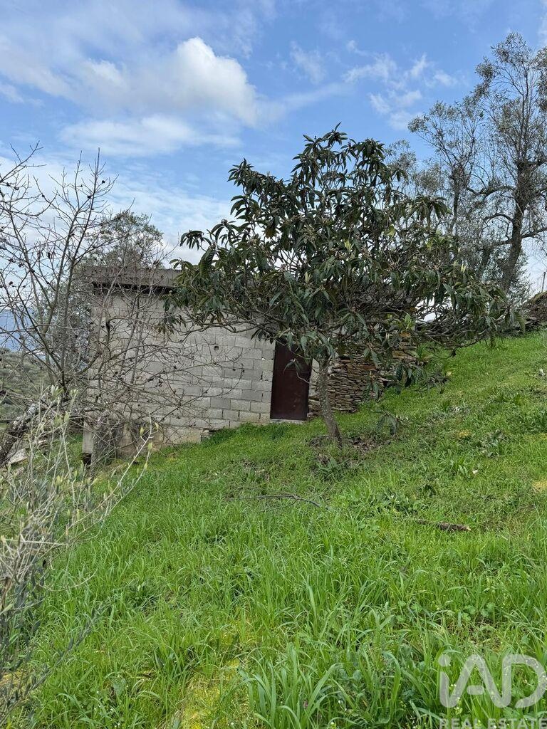 Land in Tabuaco - view 1