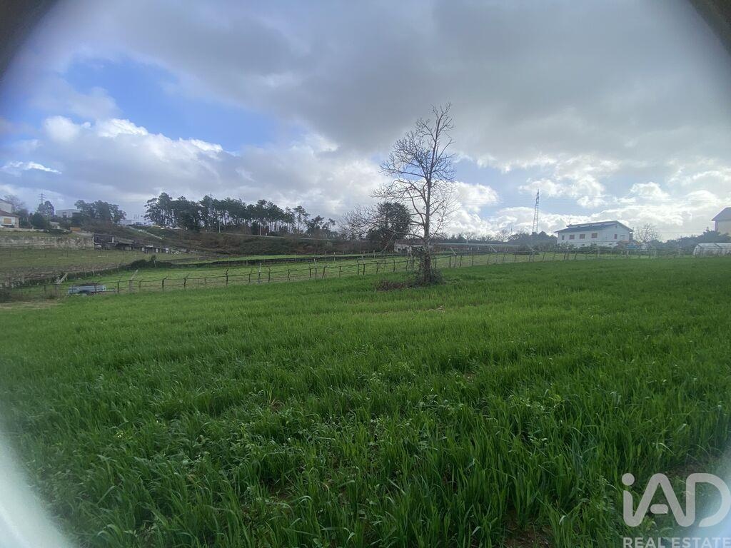 Land in Moncao - Image 4