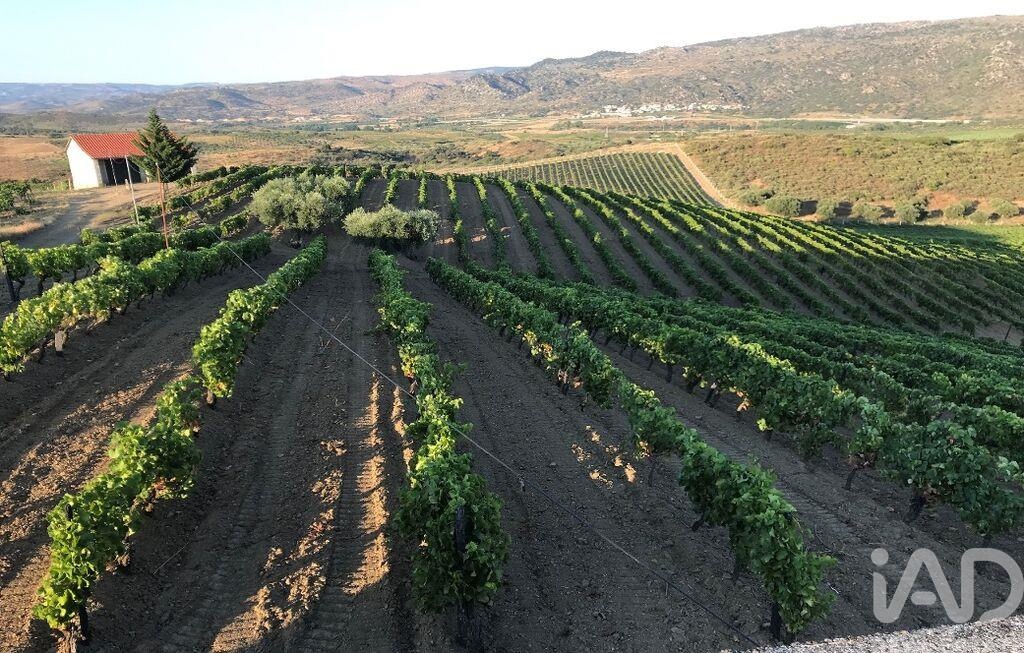 Farm, Ranch or Equestrian in Vila Flor - view 1