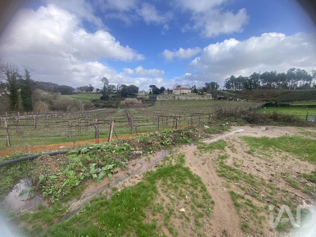 Land in Moncao - Image 3