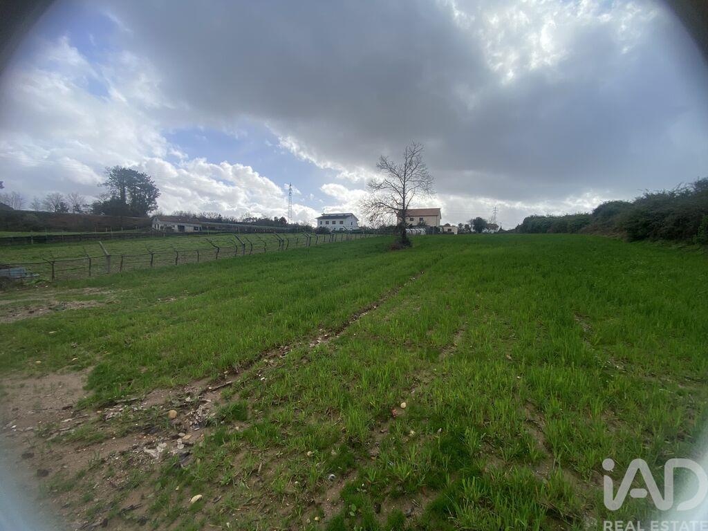 Land in Moncao - Image 2