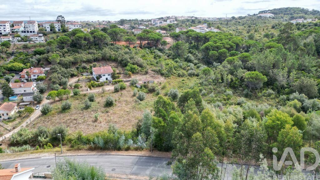 Land in Santa Clara - Image 4