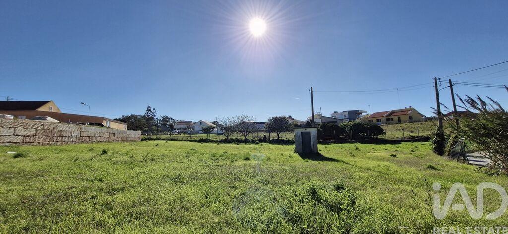 House in Salir de Matos - Image 5