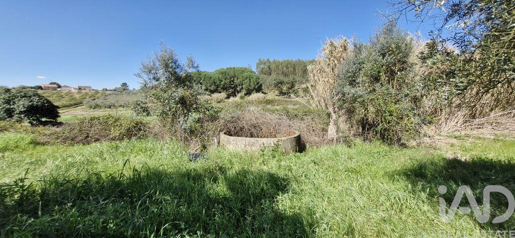 Land in Fraguas - Image 3