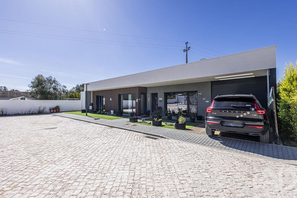 House in Rio Maior - Image 4