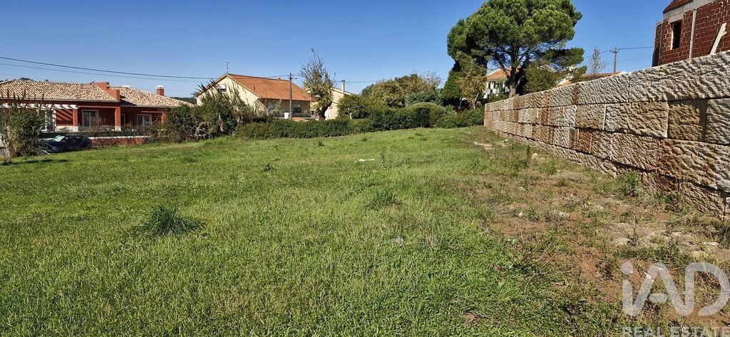 House in Salir de Matos - Image 4
