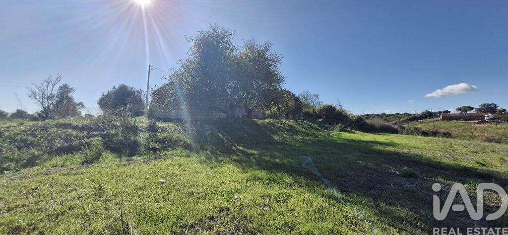 House in Abitureiras - Image 4