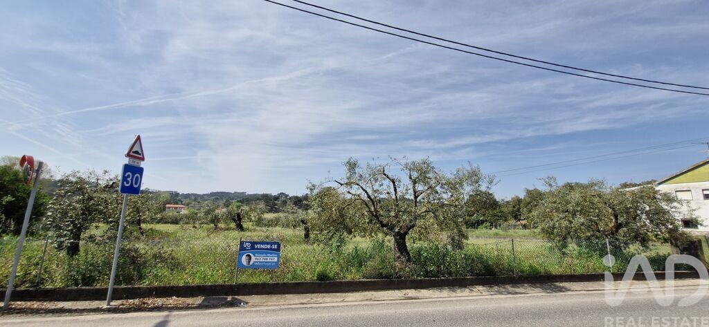 Land in Fraguas - view 1