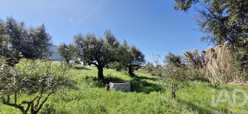 Land in Fraguas - Image 5