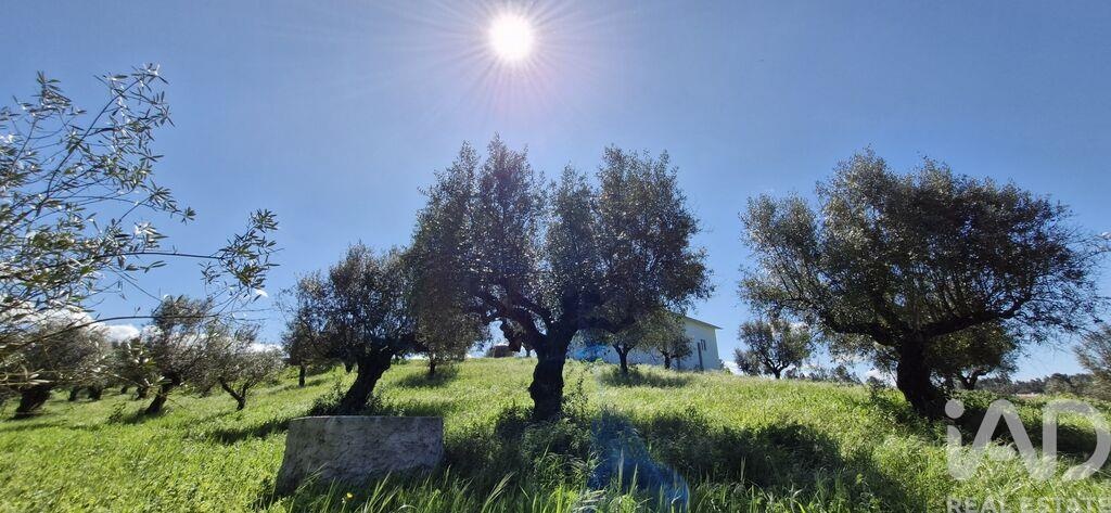 Land in Fraguas - Image 4