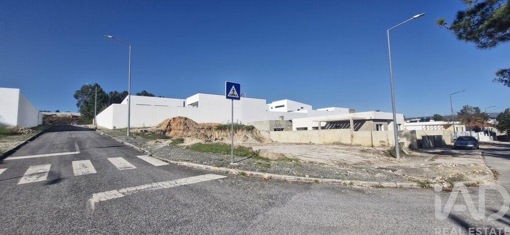 House in Rio Maior - Image 3