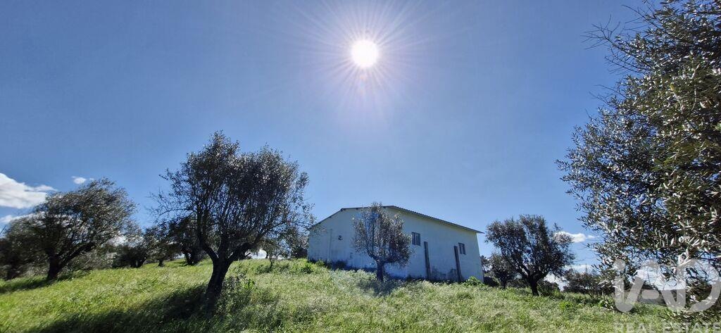 Land in Fraguas - Image 2