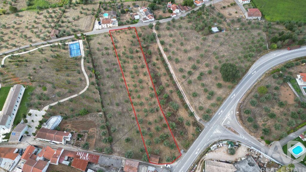 Land in Penela - view 1