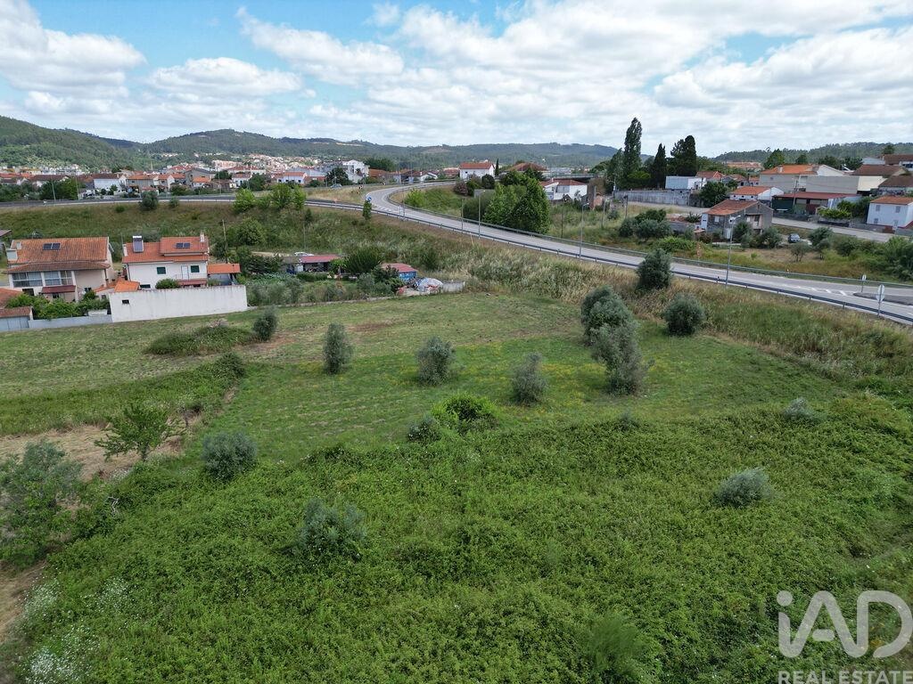 Land in Miranda do Corvo - Image 5