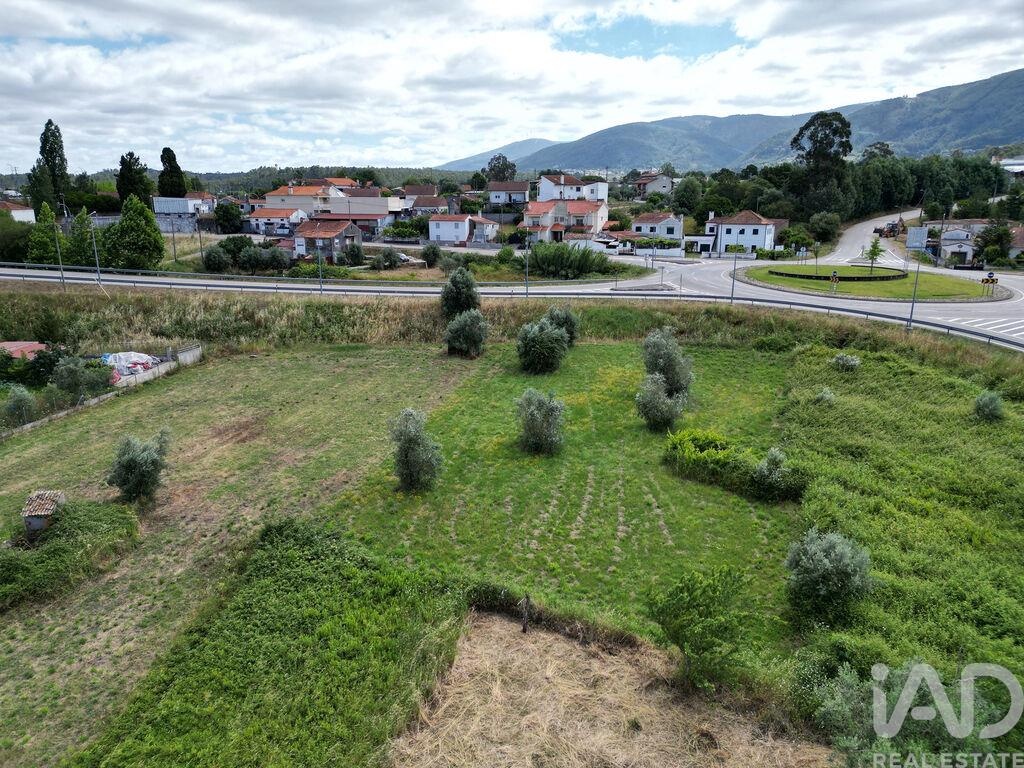 Land in Miranda do Corvo - Image 4