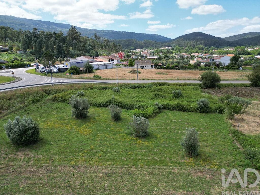 Land in Miranda do Corvo - Image 3