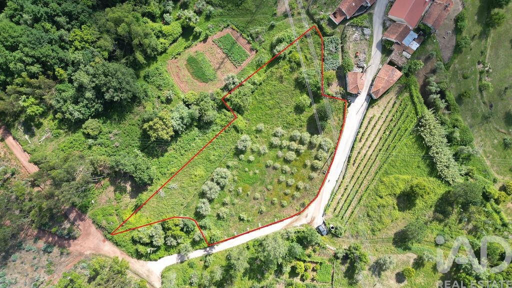 Land in Penela - view 1