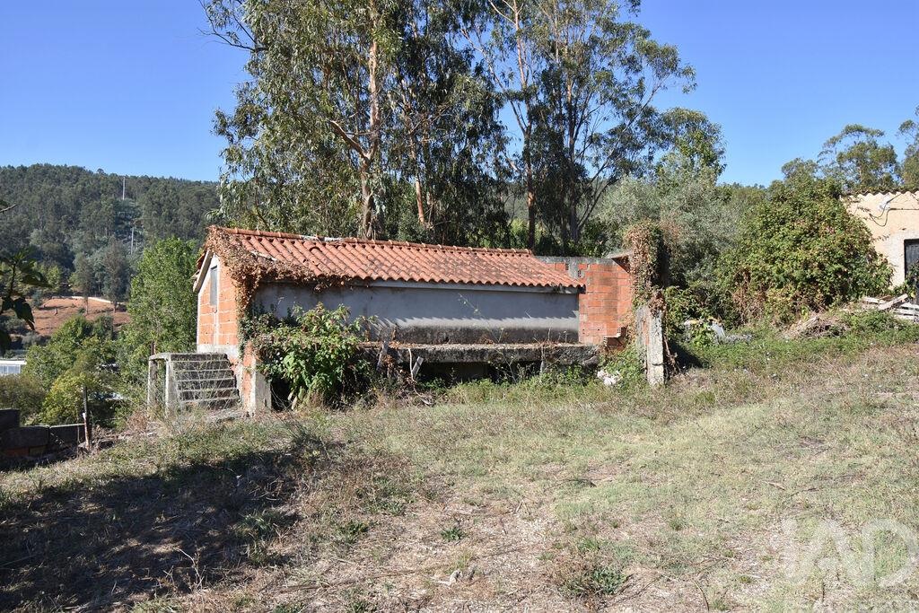 House in Miranda do Corvo - Image 3