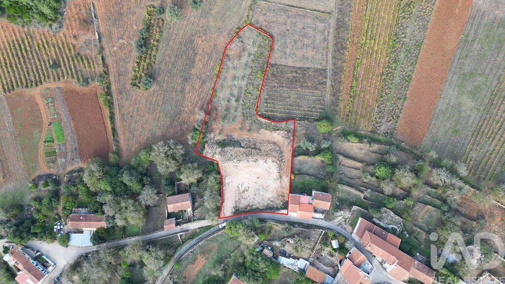 Land in Penela - view 1