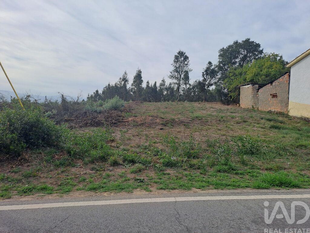 Land in Vila Nova de Poiares - view 1