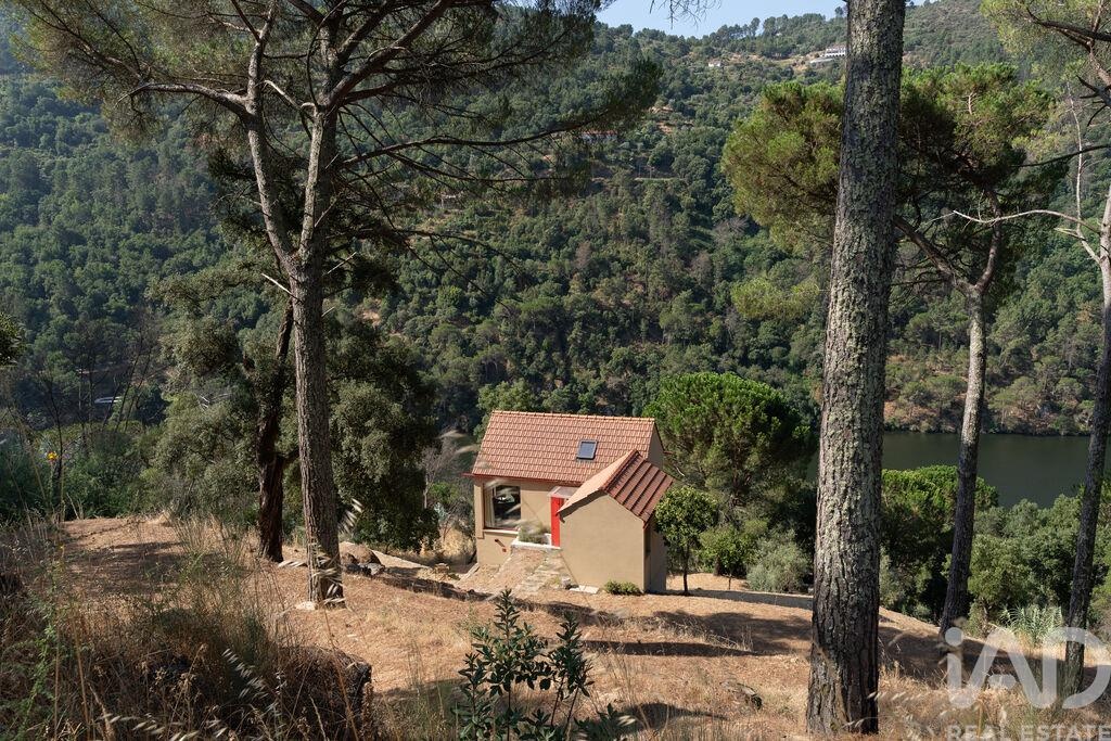 House in Ancede - Image 2
