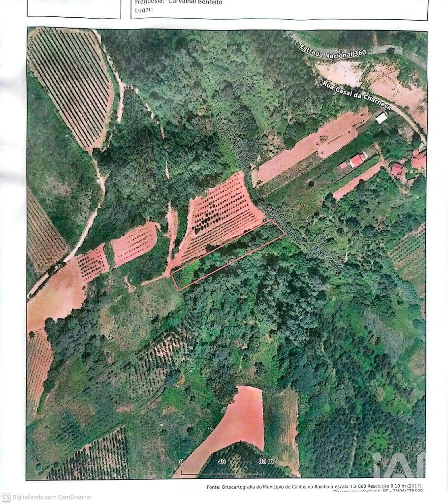 Land in Carvalhal Benfeito - view 1