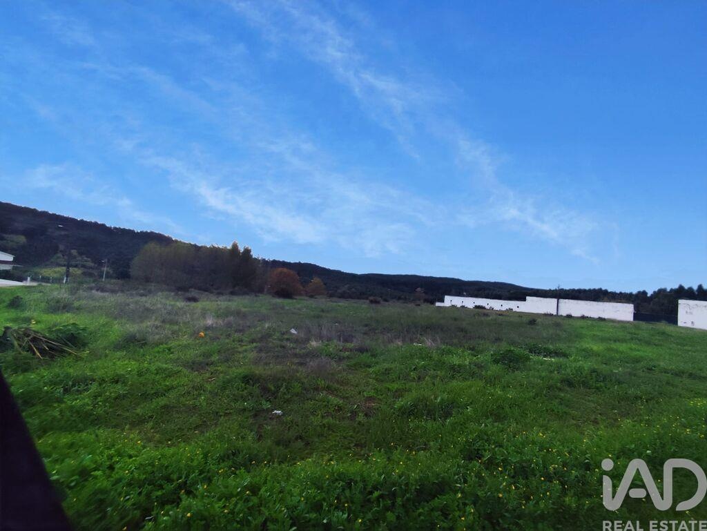 Land in Alcoentre - Image 5