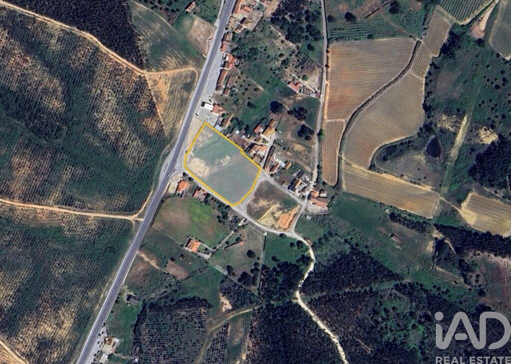 Land in Alcoentre - Image 4