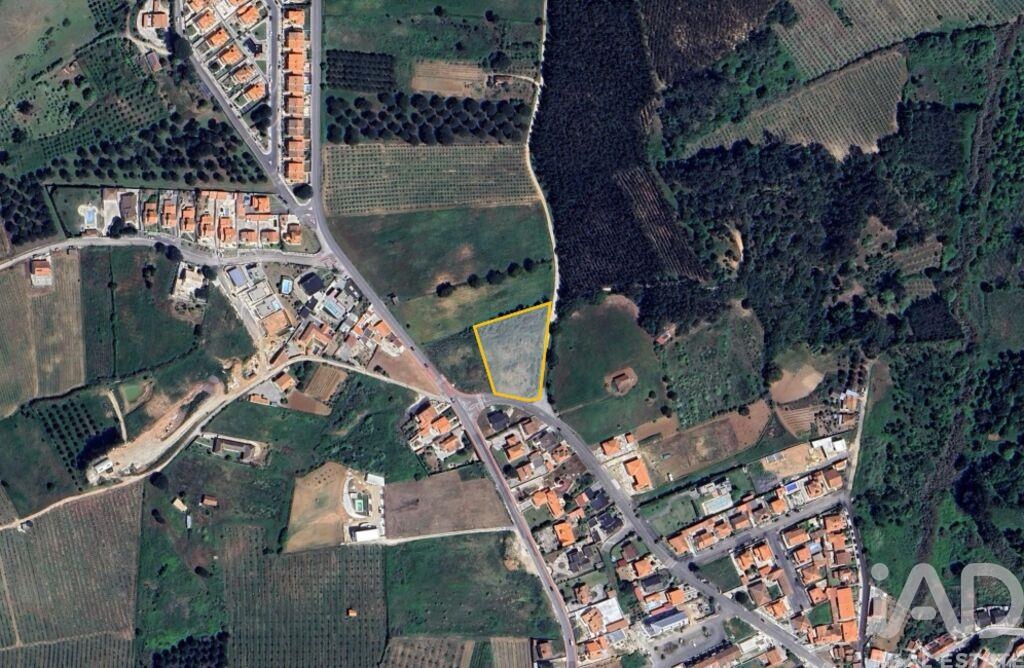 Land in Cadaval - Image 3