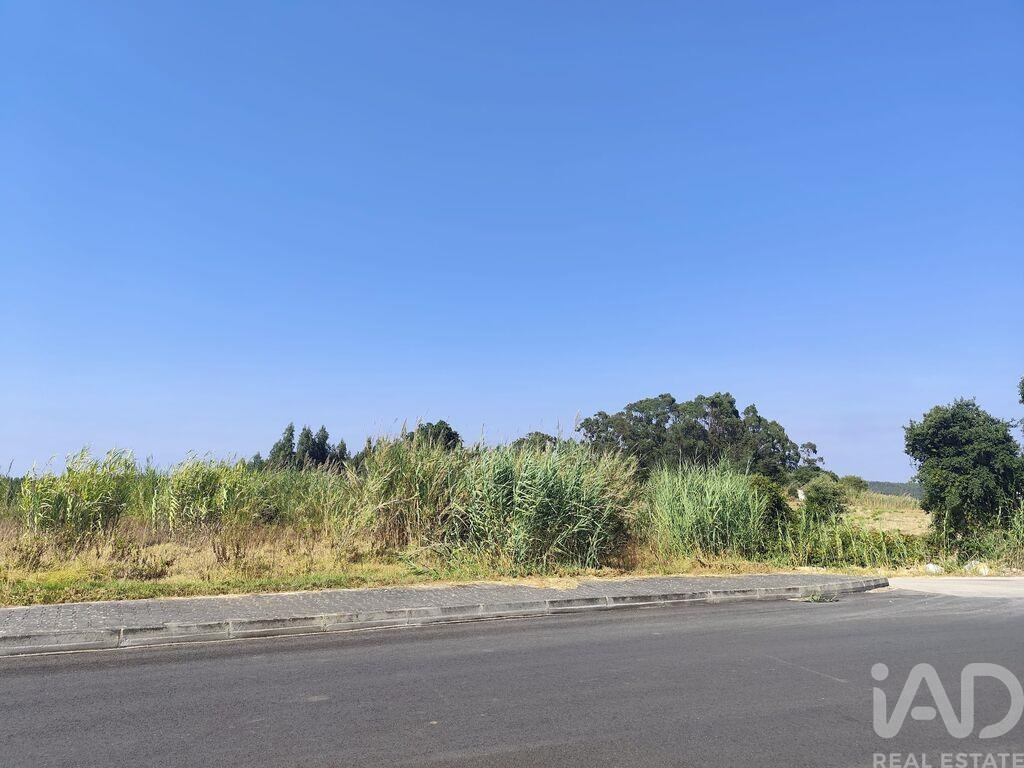 Land in Cadaval - Image 5