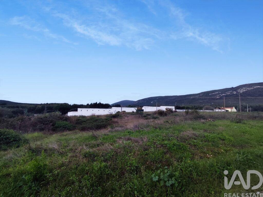 Land in Alcoentre - Image 2