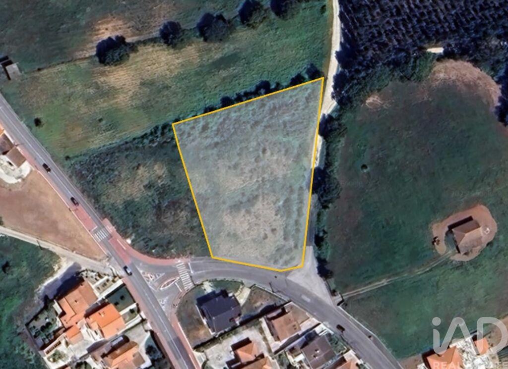 Land in Cadaval - Image 2